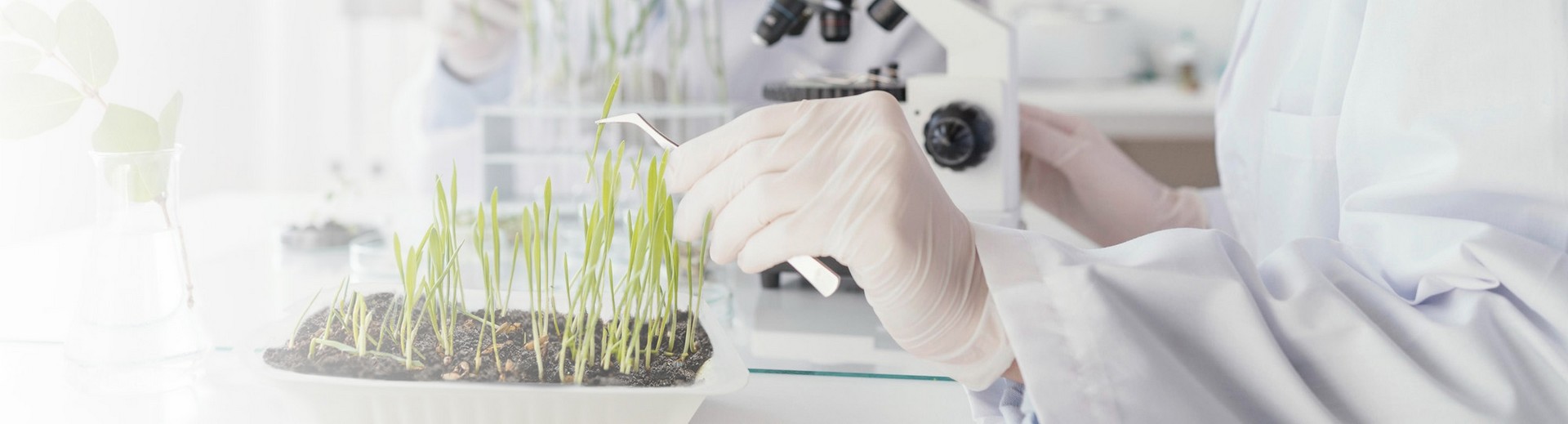 Инновационные исследования и разработки